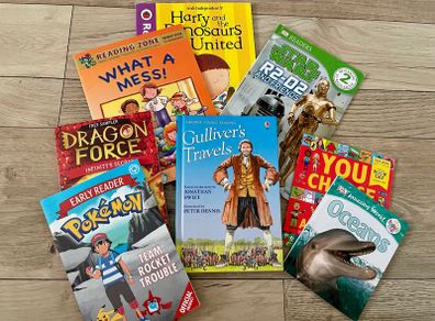 Early young reading book bundle