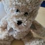 Teddy Bear Soft Toy Plush Like New 12" Bear Image 2