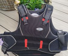 Back protector