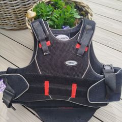 Back protector