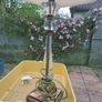 Stunning Pair of Crystal-Style & Antique Brass Table Lamps Image 3