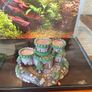 Fish tank Image 4