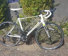 Giant Defy