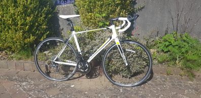 Giant Defy