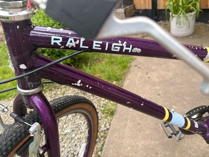 Raleigh Pop 26inch girls bike