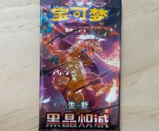Pokemon Dark Terastallized Charizard ex