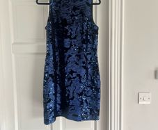 Monsoon Sleeveless Sequins Dress
