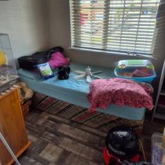 single bed