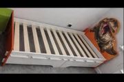 kids bed frame