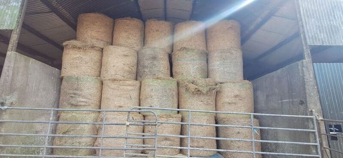 Round bales Hay