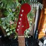 Fender Newporter Player Semi Acoustic Image 3