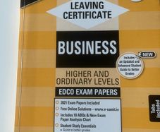 Business Studies exam papers leaving cert