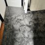 Carpet Image 4