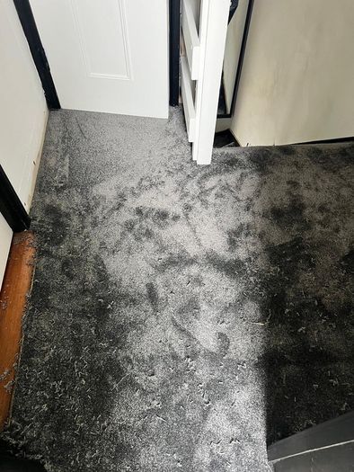 Carpet