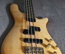 Warwick Streamer Stage 1 from 1995