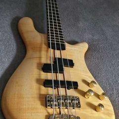 Warwick Streamer Stage 1 from 1995
