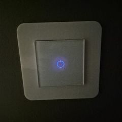 light switch's