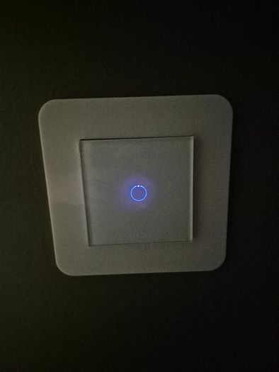 light switch's