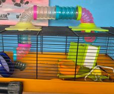 hamster/ small animal cage