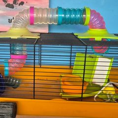 hamster/ small animal cage