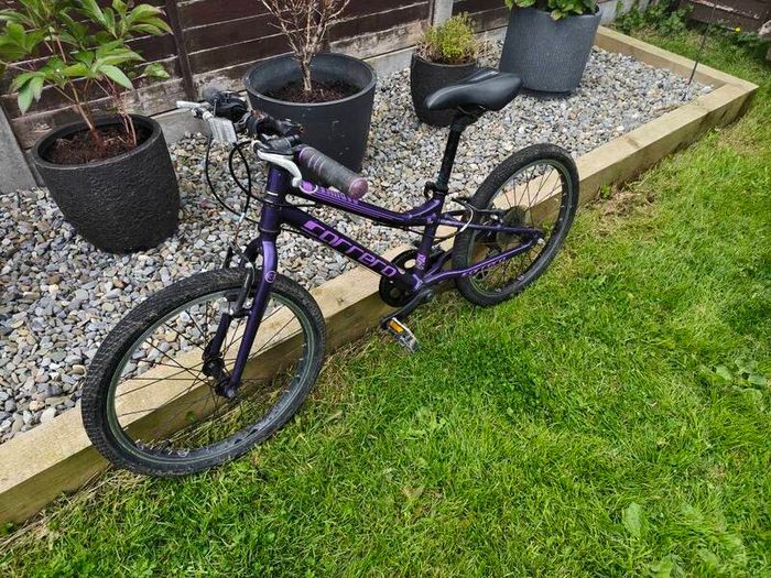 Kids bike Carrera Saruna 20 inches.
