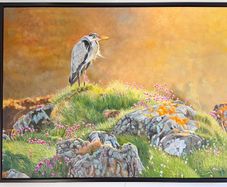 Morning Sun at Clogherhead | oil painting | Framed