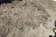 Free top soil