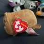 Ty teeny beanie boos teeny tys brand new Image 2