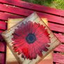 Gerbera Plate Image 2