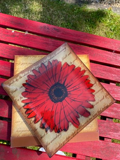 Gerbera Plate
