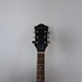DeArmond M-65 Electric Guitar Image 4