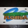 Various States, License Plate, 25 each AMERICAN  LICENSE PLATE Image 5