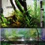 Adjustable Automatic Aquarium Fish Tank Water Temperature Thermostat Heater Image 2