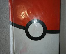 Pokemon bulk binder send offers
