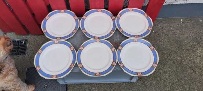 Karmony Shape Rose Pattern Vintage Dinnerware