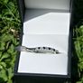 Brand New 9ct White Gold Sapphire & Diamond Eternity Ring Image 2