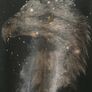 Zara sweater - eagle with stars Image 2