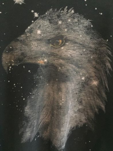 Zara sweater - eagle with stars