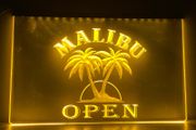 Malibu Neon light