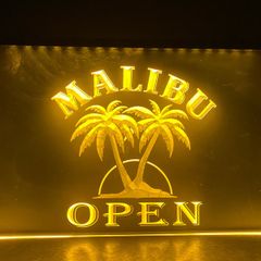 Malibu Neon light
