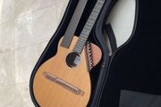 Sedgwick 20-string harp guitar