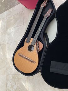 Sedgwick 20-string harp guitar
