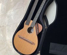 Sedgwick 20-string harp guitar