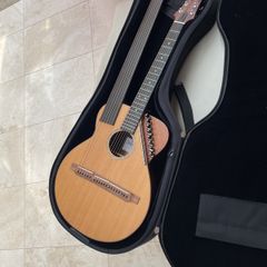 Sedgwick 20-string harp guitar