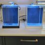 Fluval spec (Black) Image 4