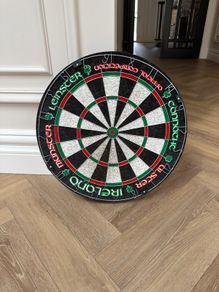 Professional Dartboard