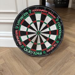 Professional Dartboard