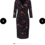 Phase eight lottia dress Image 4