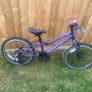 20" carrerra girls bike Image 3