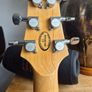 Line 6 VARIAX Series 700 Electric Guitar Image 4